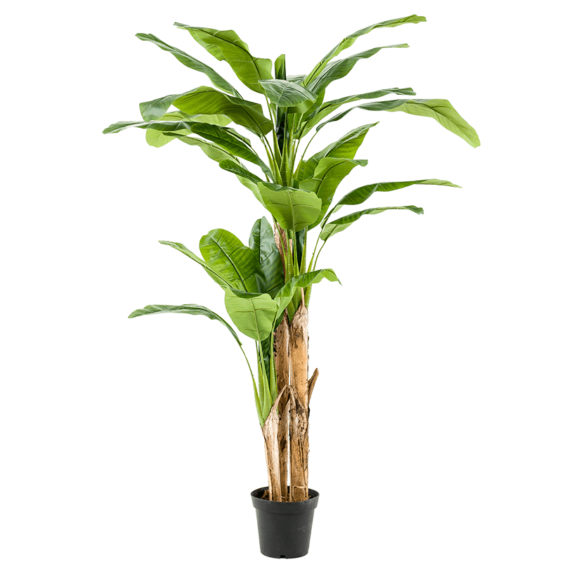 Bananenboom XL - Kunstplant eenvoudig en snel online