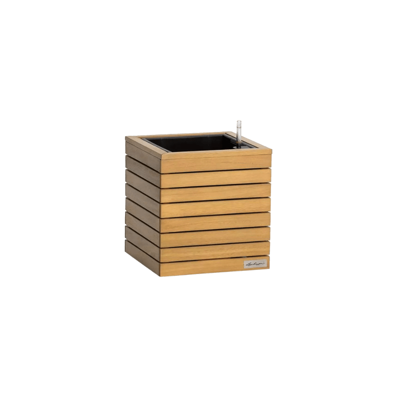 Natural Wood Cube