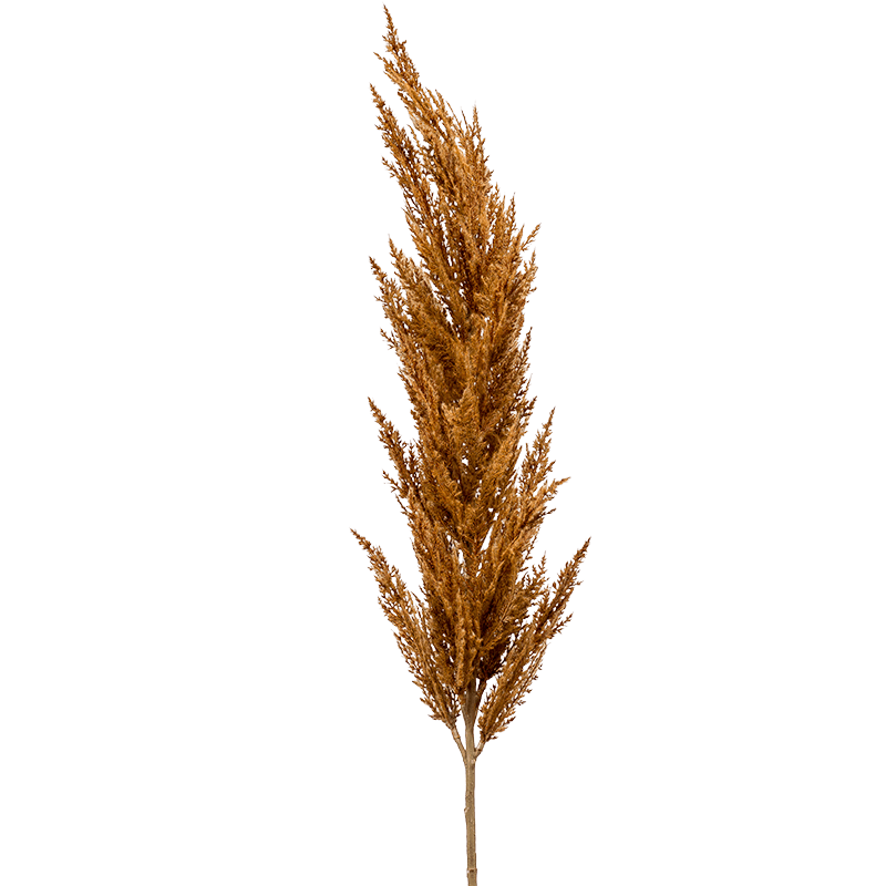 Pampas pluim oranje - kunstplant