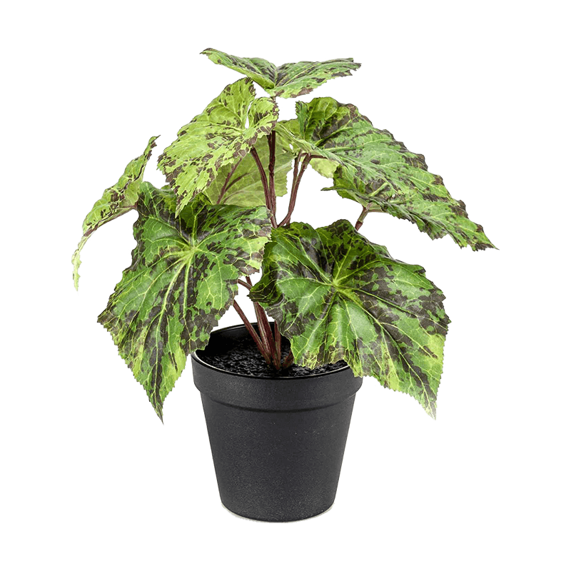 Begonia in pot - kunstplant