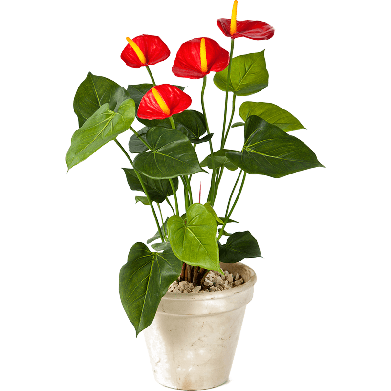 Anthurium rood - kunstplant