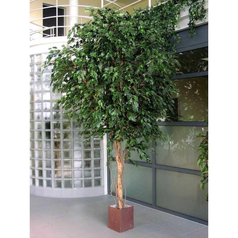 Ficus exotica op stam XXL - kunstplant