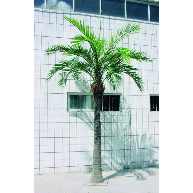 Phoenix palm XXXL - kunstplant