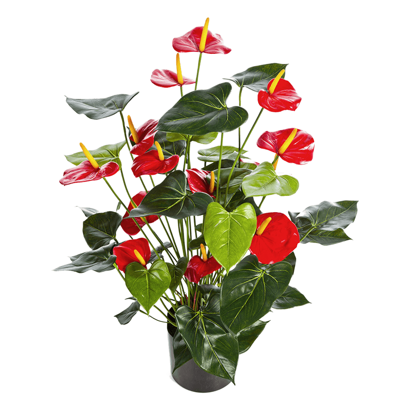 Anthurium rood XL - kunstplant