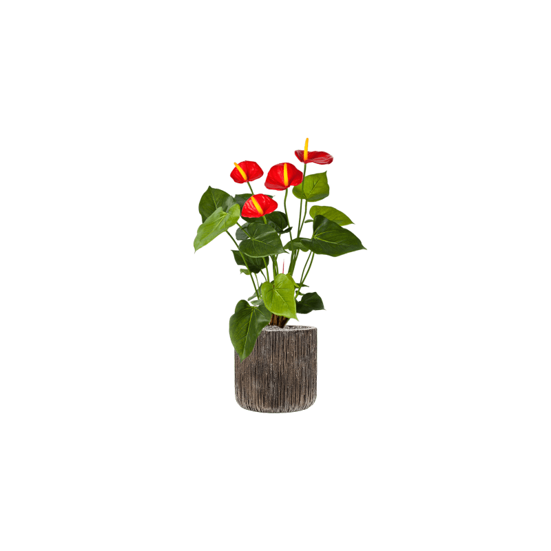 Anthurium rood - kunstplant