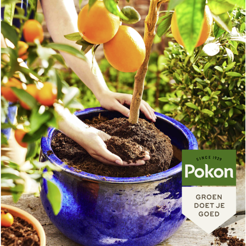 Pokon bio mediterrane potgrond 30L