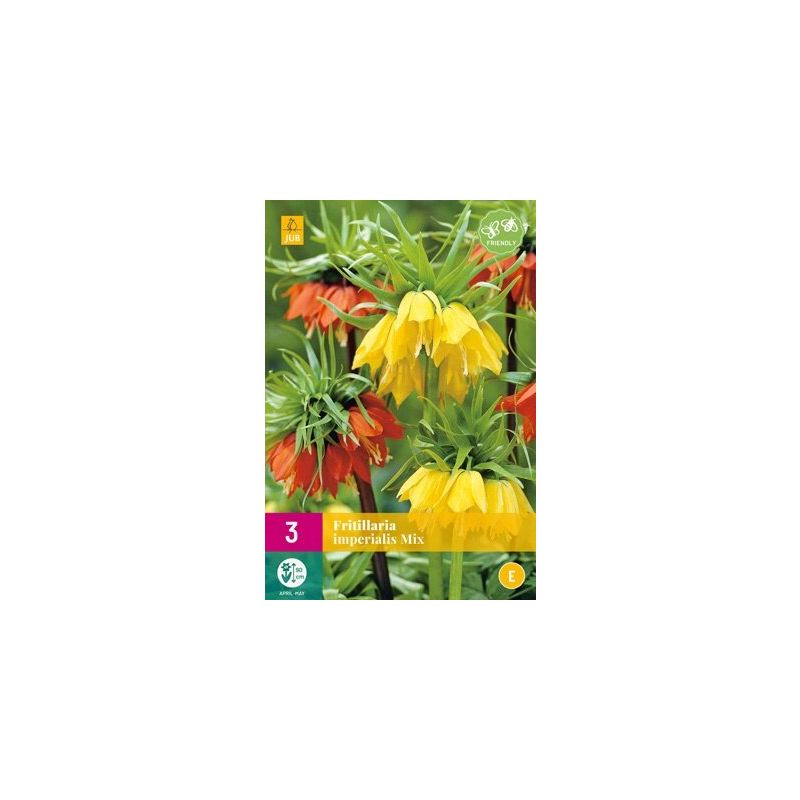 Fritillaria Imperialis Mix