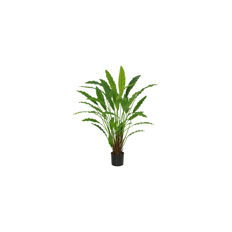 Calathea Wavestar - kunstplant