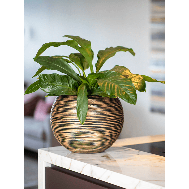 Capi Nature Vase Ball Goud