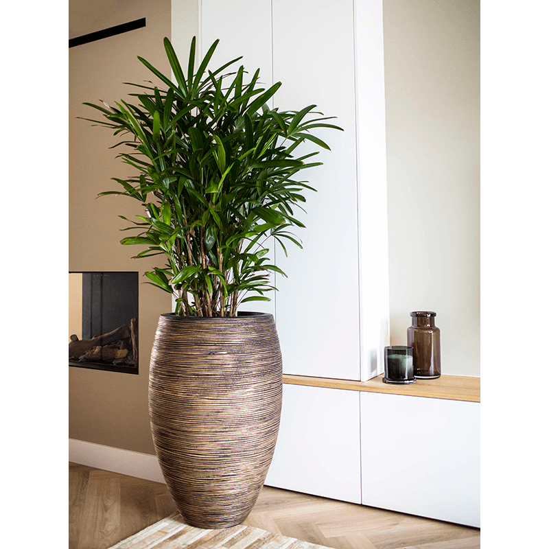 Capi Nature Rib Vase Deluxe Goud