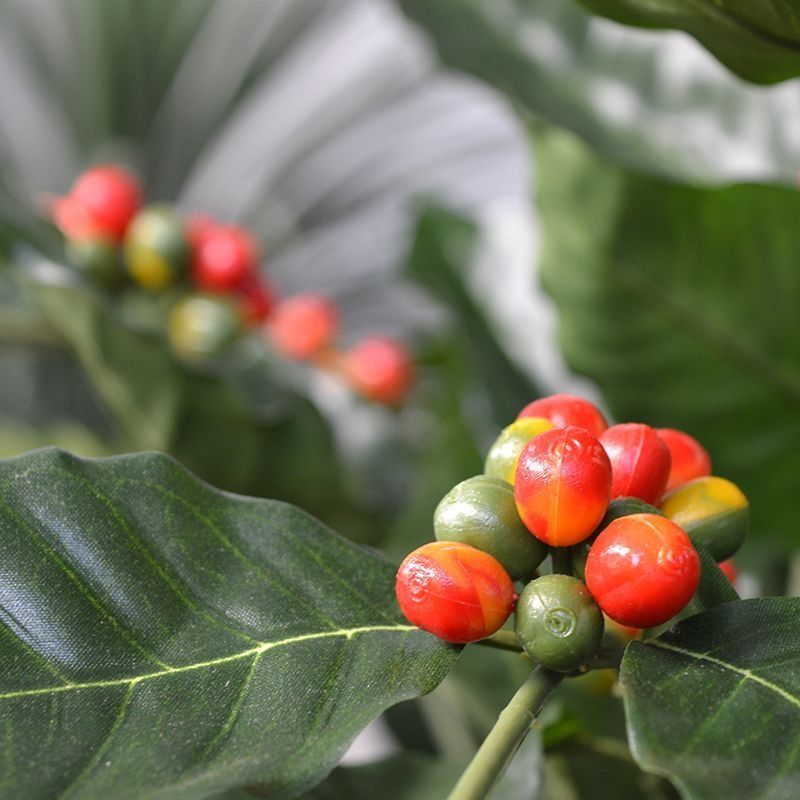 Coffea Arabica - kunstplant