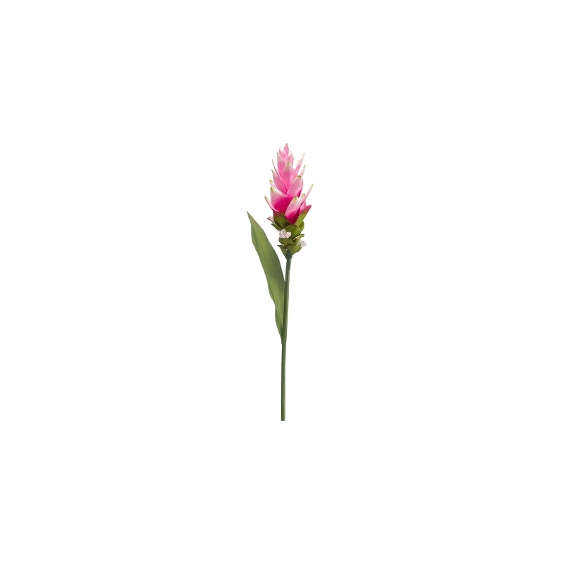 Curcuma - kunstplant