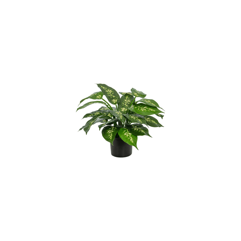 Dieffenbachia - kunstplant