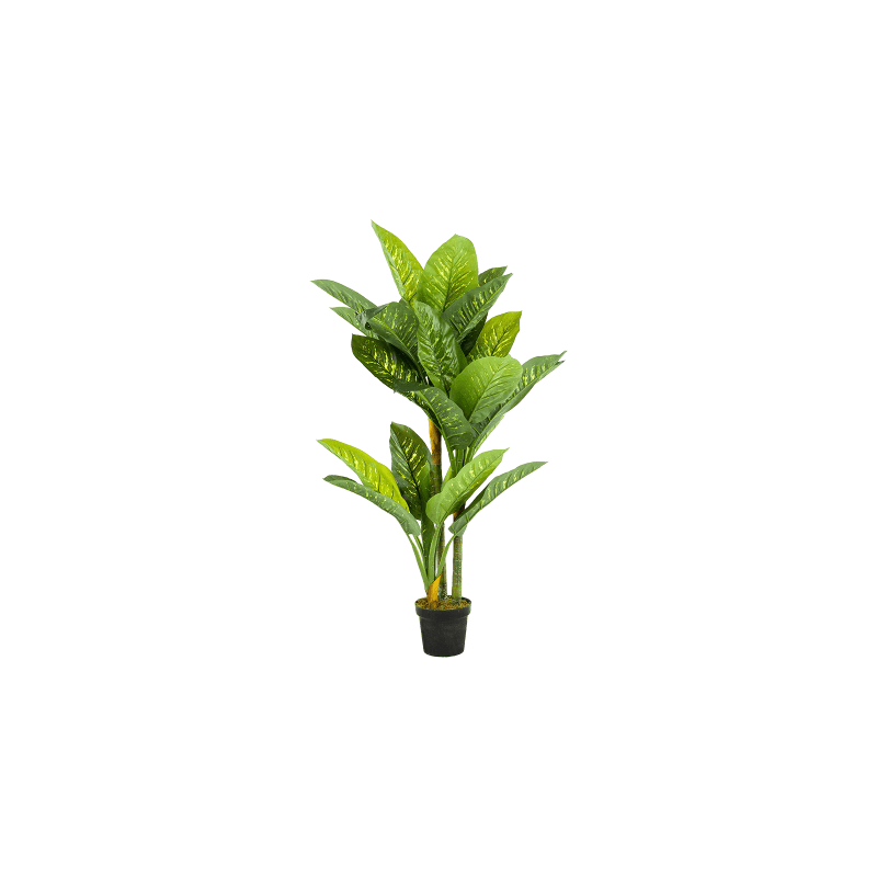 Dieffenbachia - kunstplant