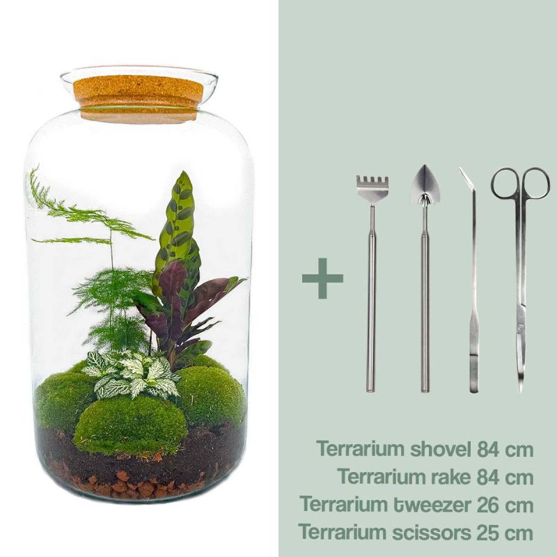 DIY Terrarium Asparagus + tools