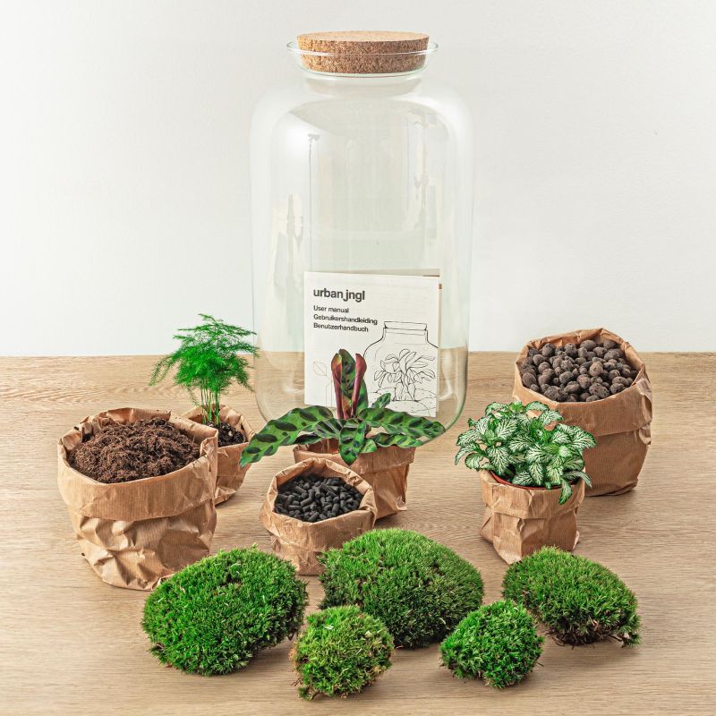 DIY Terrarium Asparagus + tools