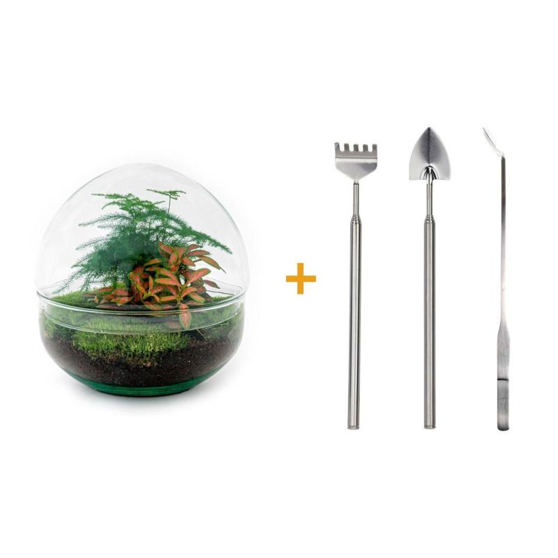 DIY Terrarium Dome + tools