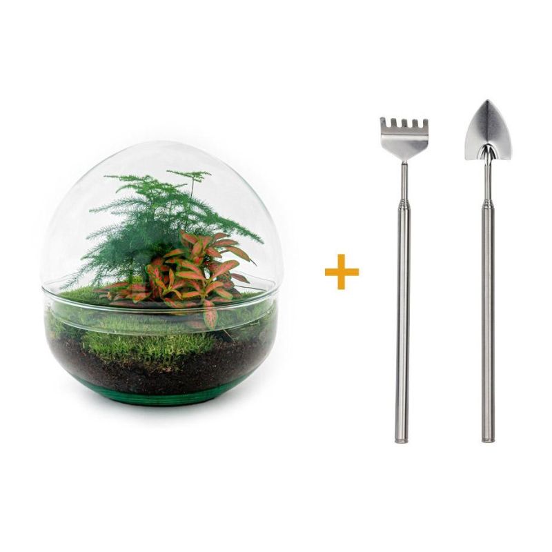 DIY Terrarium Dome + tools