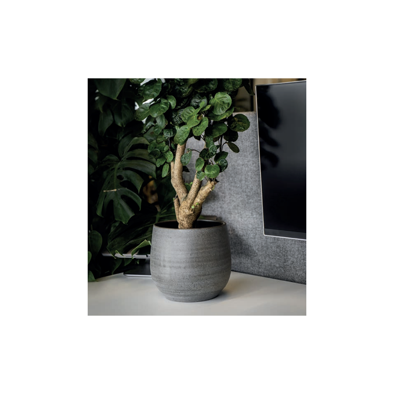 Esra Pot Mystic Grey