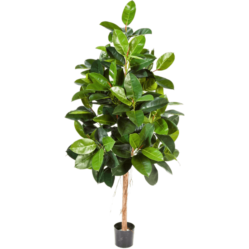 Ficus elastica op stam - kunstplant