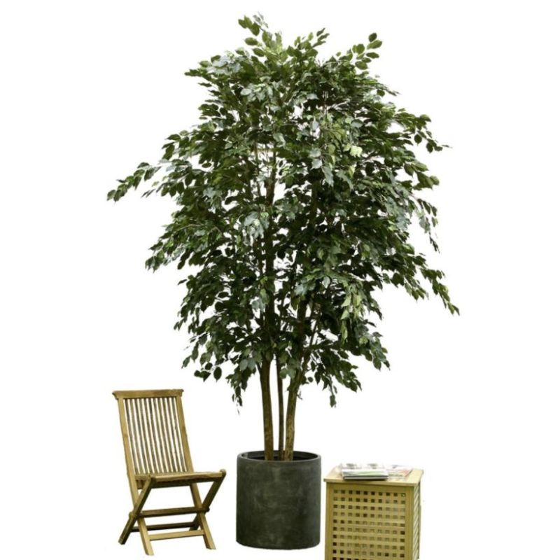 Ficus exotica vertakt - kunstplant