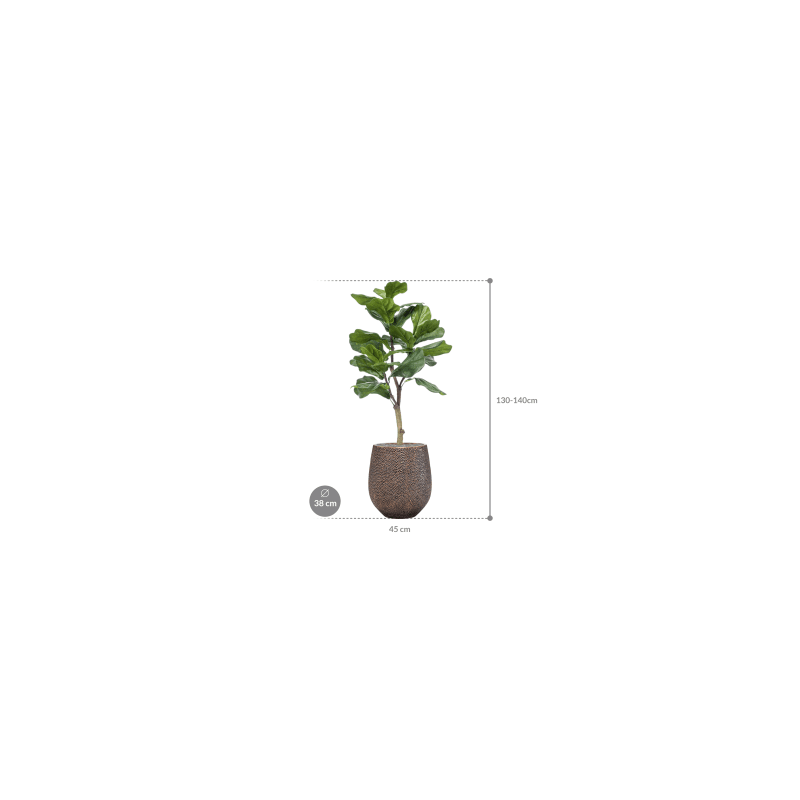 Ficus lyrata in Opus Darcy Goud - kunstplant