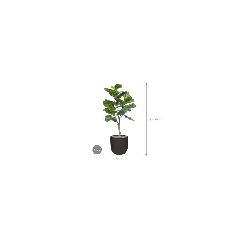 Ficus lyrata in Capi Urban Smooth Egg Zwart - kunstplant