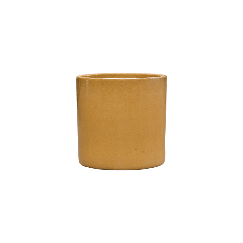 Ficus lyrata in Cylinder Ceramic Honey - kunstplant