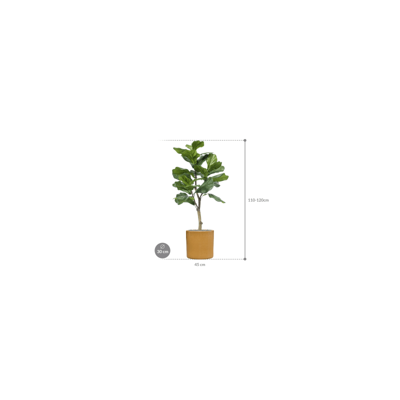 Ficus lyrata in Cylinder Ceramic Honey - kunstplant