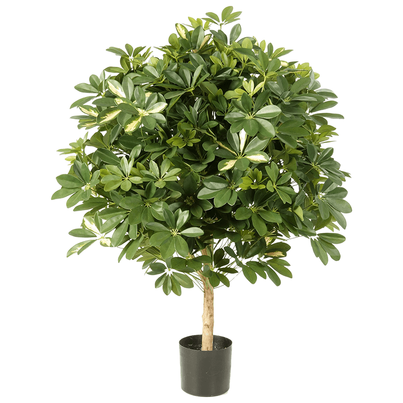 Schefflera bol - kunstplant