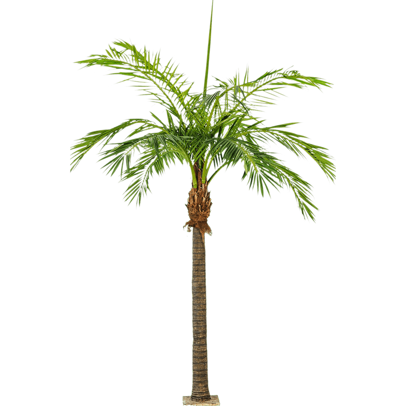 Phoenix palm XXXL - kunstplant