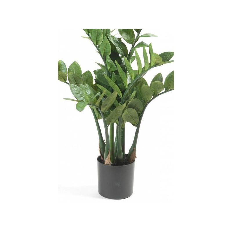 Zamioculcas - kunstplant