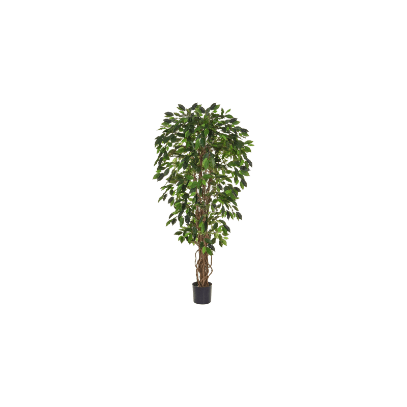 Ficus Liana XL - kunstplant