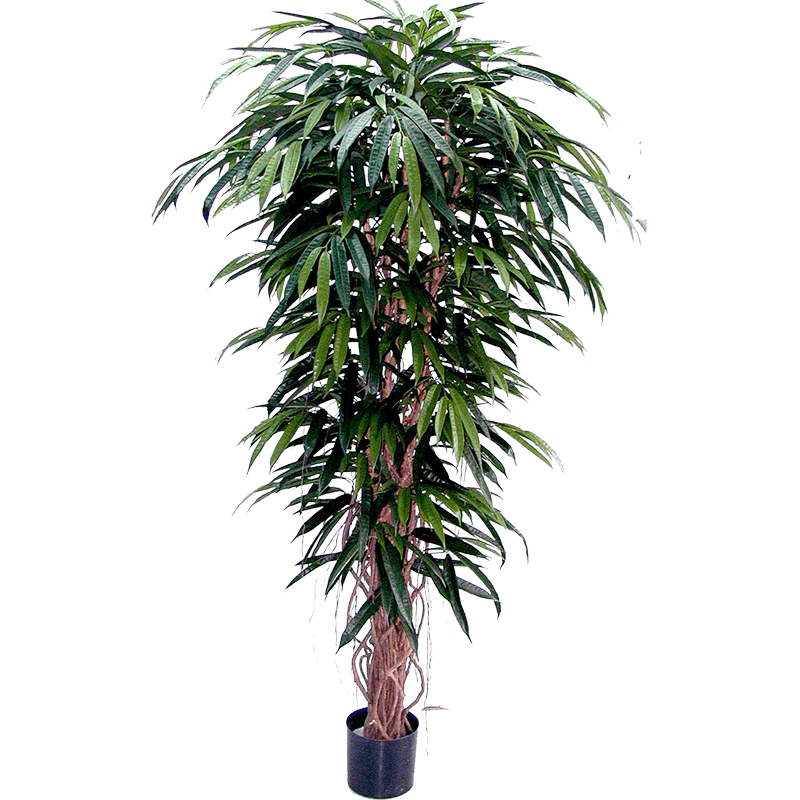 Ficus longifolia deluxe - kunstplant