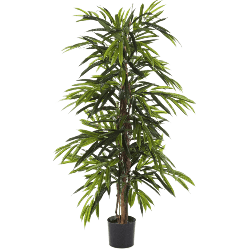 Ficus longifolia - kunstplant