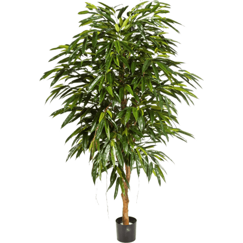 Ficus longifolia op stam - kunstplant