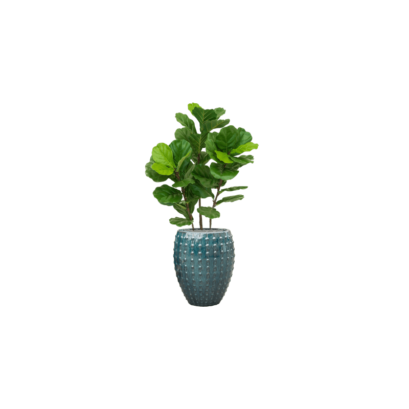 Ficus Lyrata toef - kunstplant