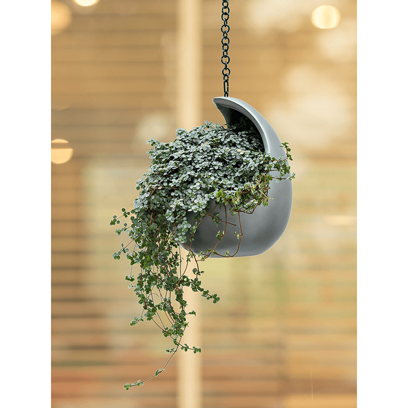 Metallic Cocoon Hanger Grey