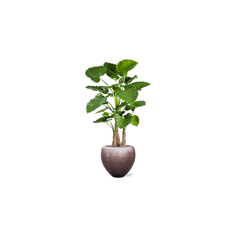 Alocasia Calidora in Metallic Couple Copper - kunstplant