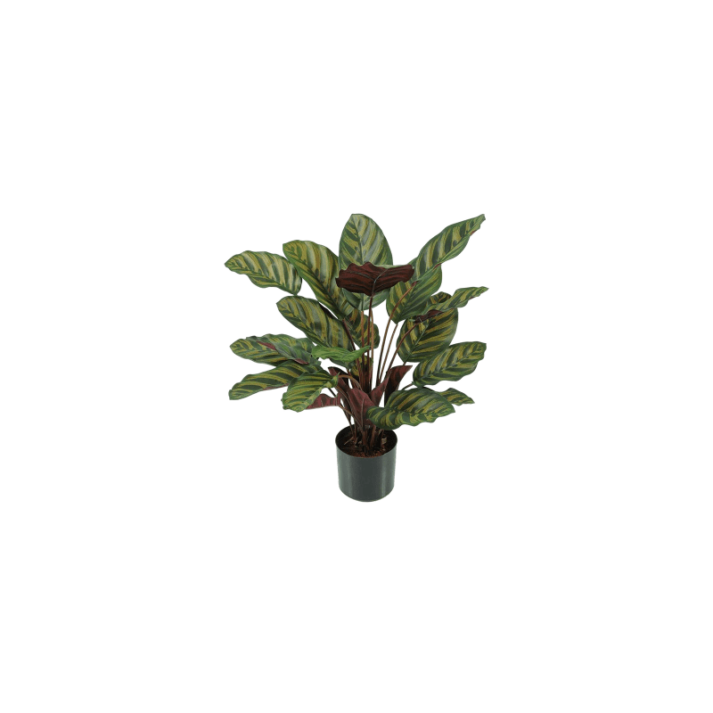 Calathea Makoyana - kunstplant