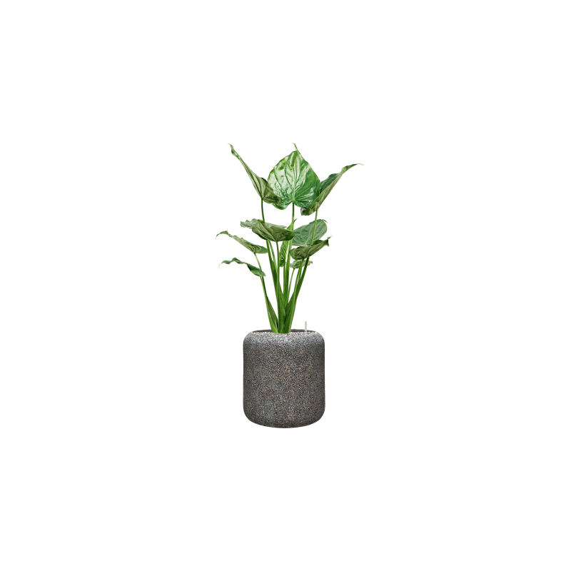 Naturescast Cylinder Grey