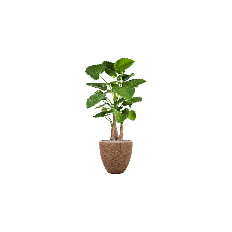 Alocasia Calidora in Naturescast Couple - kunstplant