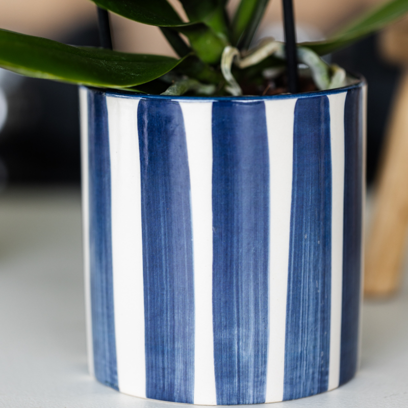 Planten duo in Painted Stripe blauw