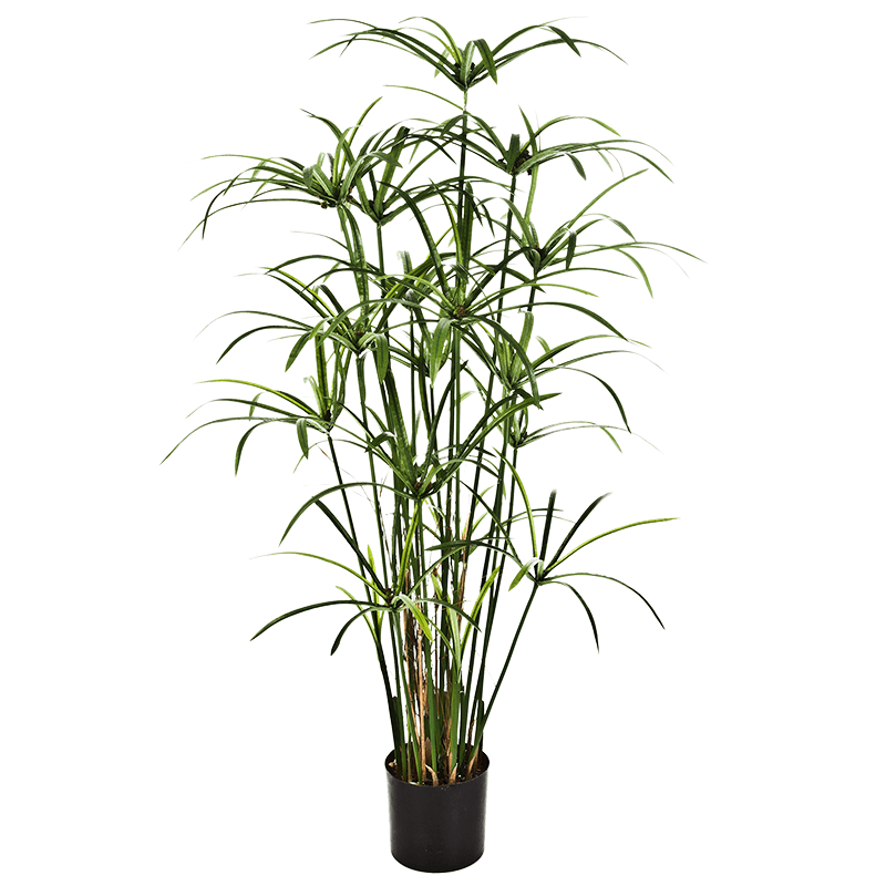 Cyperus - kunstplant