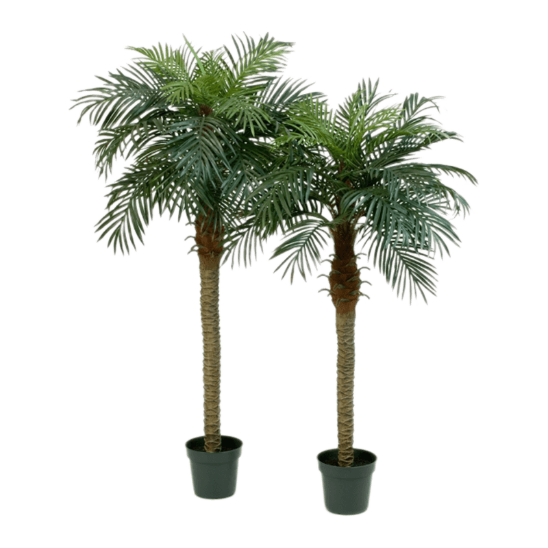 Phoenix palm - kunstplant