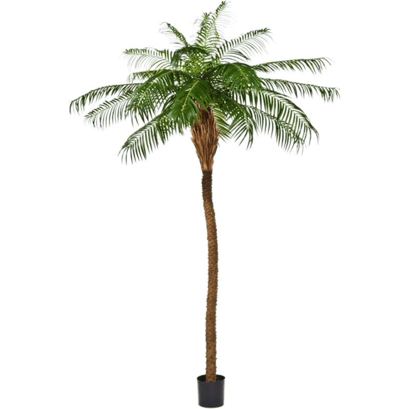 Phoenix palm XXL - kunstplant