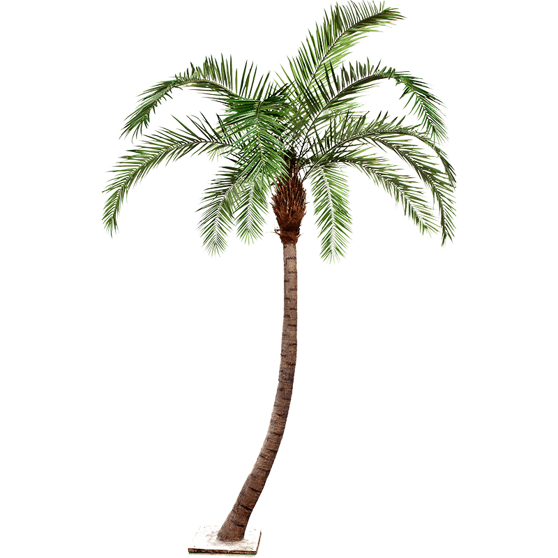 Phoenix palm gebogen - kunstplant