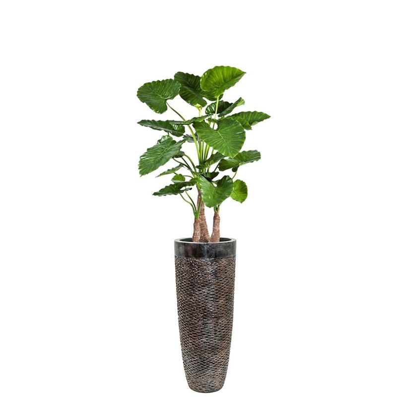 Alocasia Calidora in Layer Partner - kunstplant