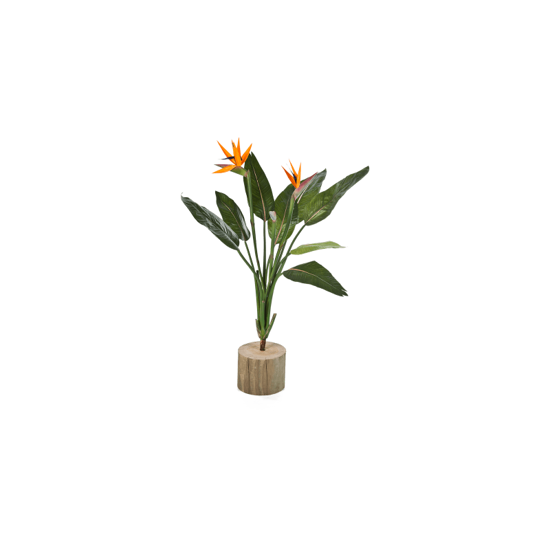 Strelitzia Reginae tak - kunstplant