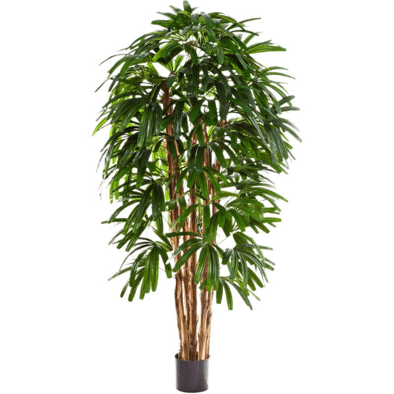 Rhapis palm - kunstplant